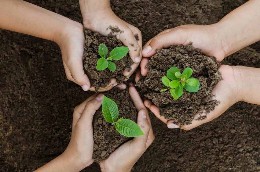 Growing concept eco Group hand  children planting together on soil backgroud